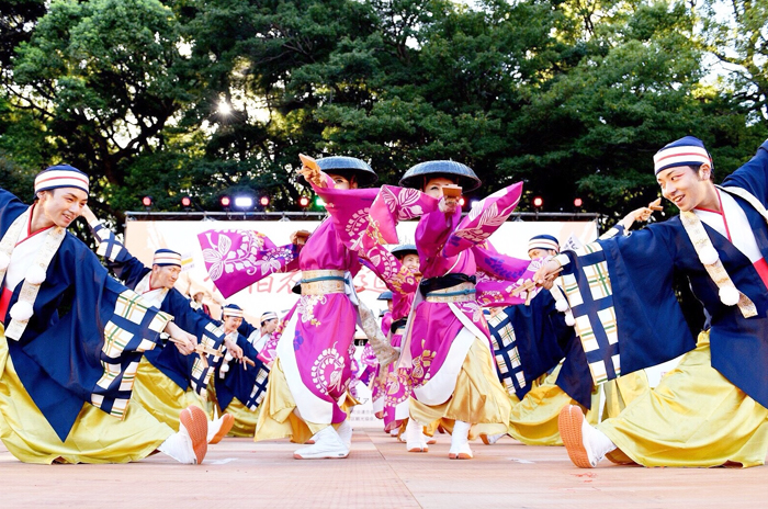 よさこい衣装・祭り衣装　　TACYON様 