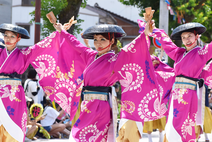 よさこい衣装・祭り衣装　　TACYON様 