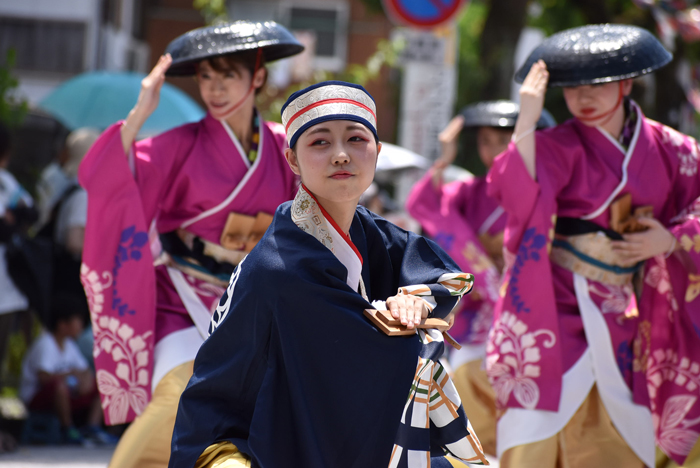 よさこい衣装・祭り衣装　　TACYON様 