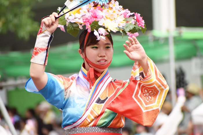 よさこい衣装・祭り衣装　　高松よさこい連様 