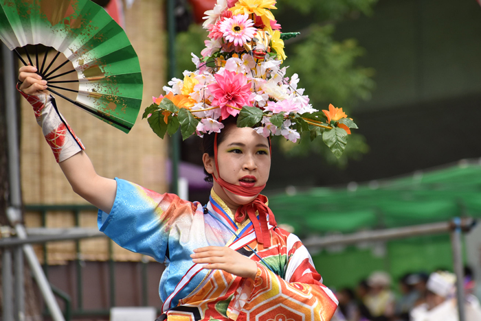 よさこい衣装・祭り衣装　　高松よさこい連様 