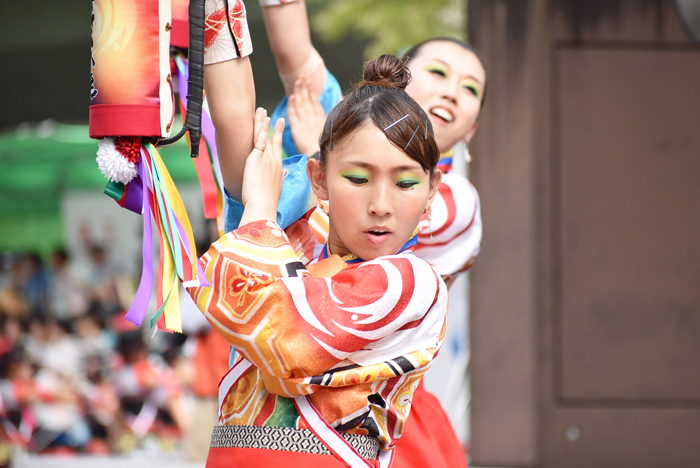 よさこい衣装・祭り衣装　　高松よさこい連様 