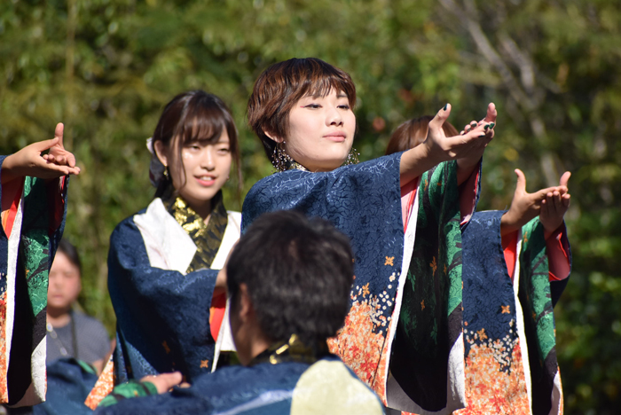 よさこい衣装・祭り衣装　　島根県立大学よさこい橙欄様 