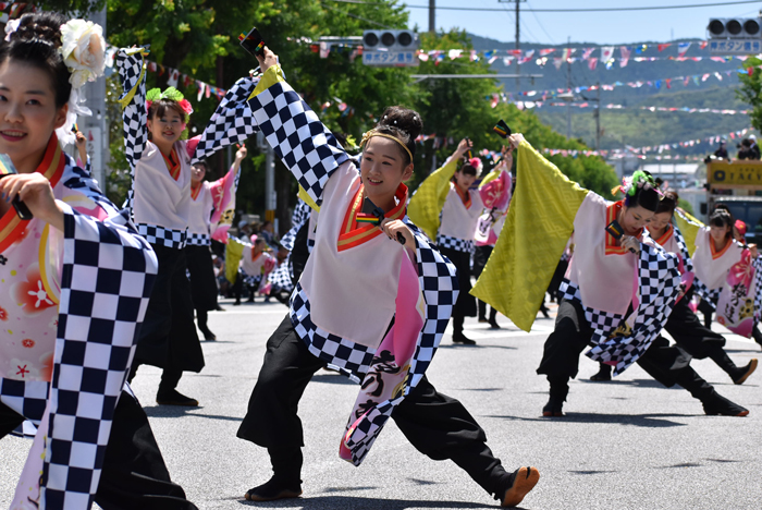 よさこい衣装・祭り衣装　　梅乃連様 