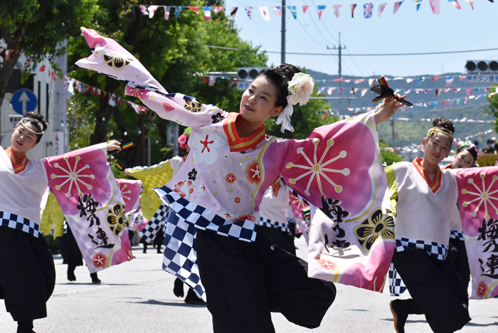 よさこい衣装・祭り衣装　　梅乃連様 