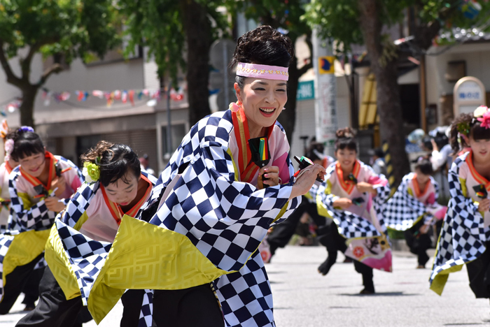 よさこい衣装・祭り衣装　　梅乃連様 