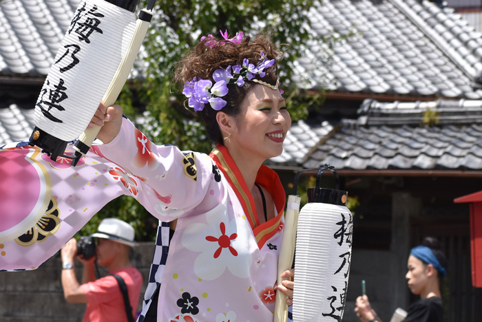 よさこい衣装・祭り衣装　　梅乃連様 