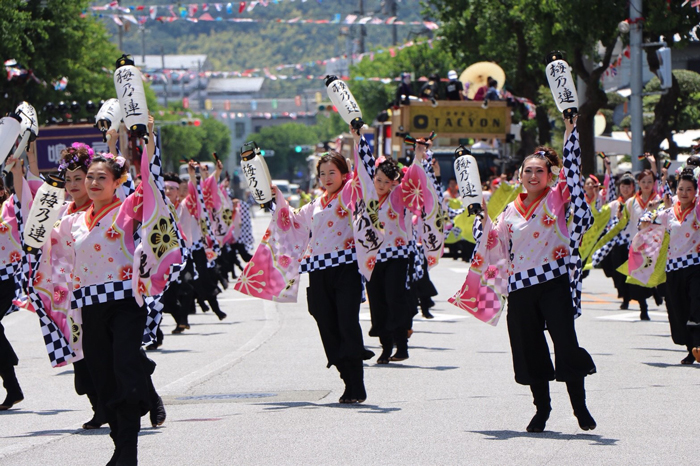 よさこい衣装・祭り衣装　　梅乃連様 