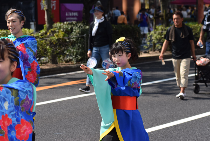 よさこい衣装・祭り衣装　　うららおおはらじゃ様 