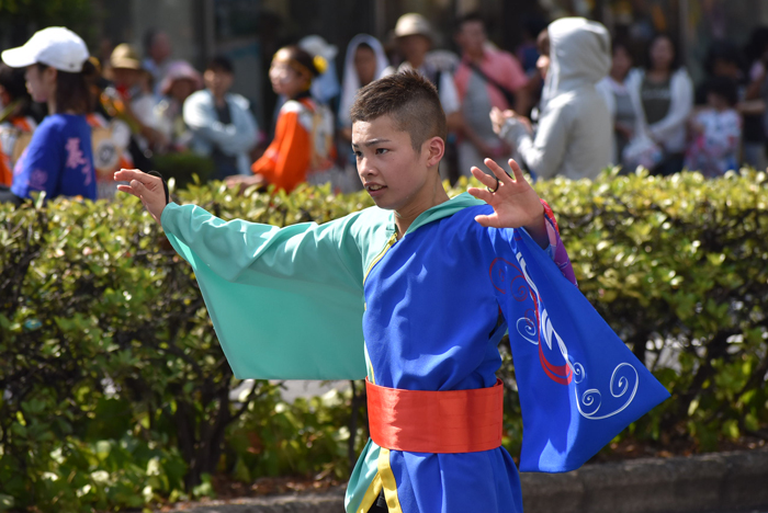 よさこい衣装・祭り衣装　　うららおおはらじゃ様 