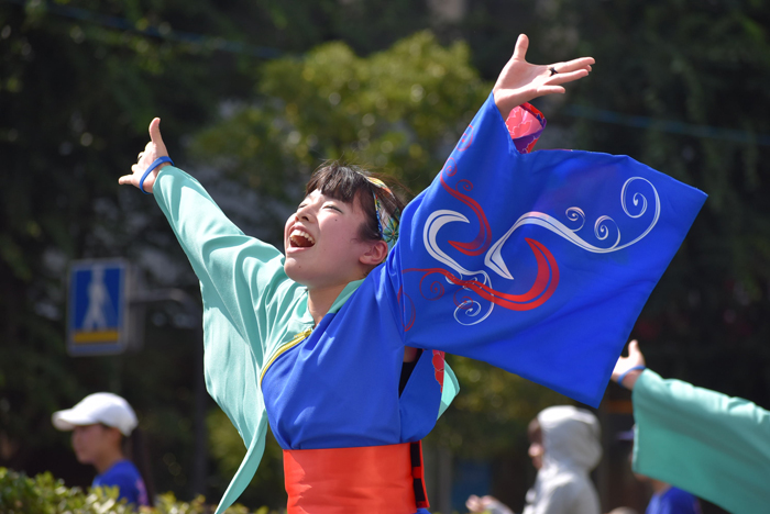 よさこい衣装・祭り衣装　　うららおおはらじゃ様 