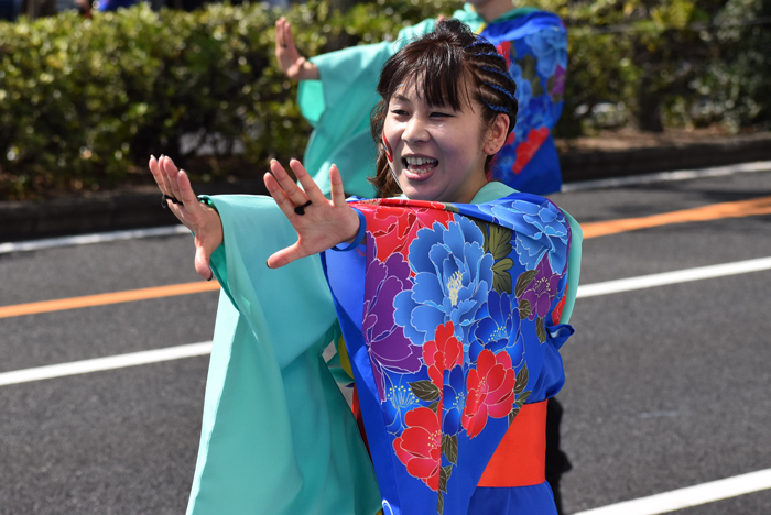 よさこい衣装・祭り衣装　　うららおおはらじゃ様 