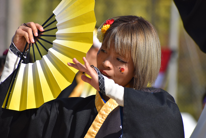 よさこい衣装・祭り衣装　　山口よさこいやっさん様 