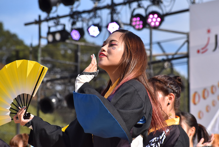 よさこい衣装・祭り衣装　　山口よさこいやっさん様 