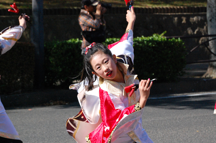 よさこい衣装・祭り衣装　　夢真道＆夢真道華恋翔女様 