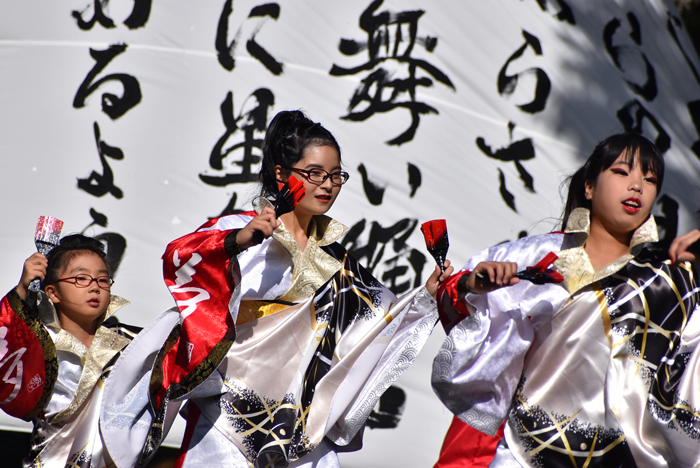 よさこい衣装・祭り衣装　　夢真道＆夢真道華恋翔女様 