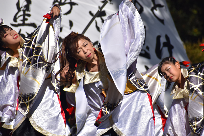 よさこい衣装・祭り衣装　　夢真道＆夢真道華恋翔女様 