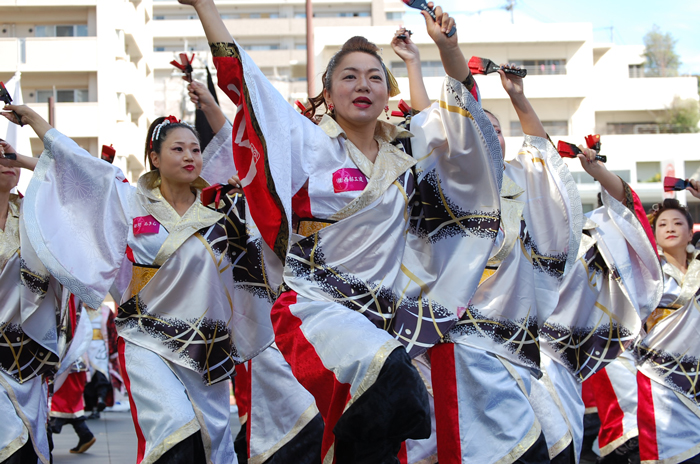 よさこい衣装・祭り衣装　　夢真道＆夢真道華恋翔女様 