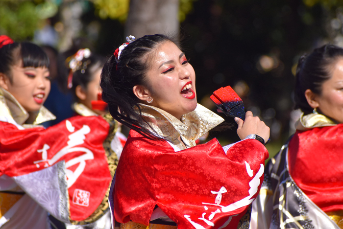 よさこい衣装・祭り衣装　　夢真道＆夢真道華恋翔女様 