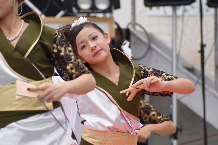 よさこい衣装・祭り衣装　　結sin様 