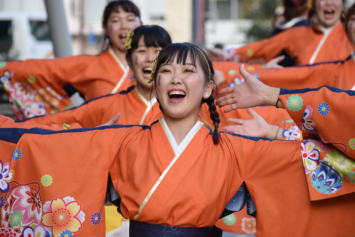 よさこい衣装・祭り衣装　　山口県立大学 よさこい部 奄美連合萩組様 