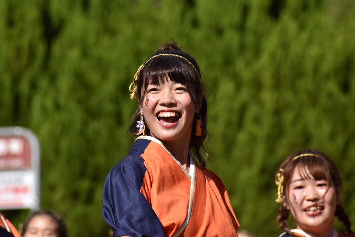 よさこい衣装・祭り衣装　　山口県立大学 よさこい部 奄美連合萩組様 