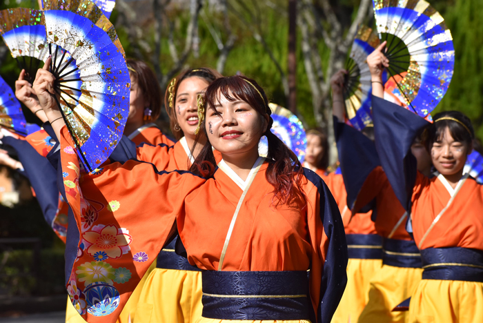 よさこい衣装・祭り衣装　　山口県立大学 よさこい部 奄美連合萩組様 