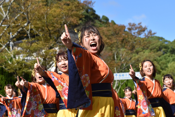 よさこい衣装・祭り衣装　　山口県立大学 よさこい部 奄美連合萩組様 