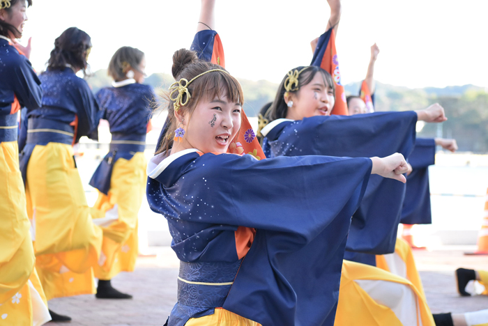 よさこい衣装・祭り衣装　　山口県立大学 よさこい部 奄美連合萩組様 