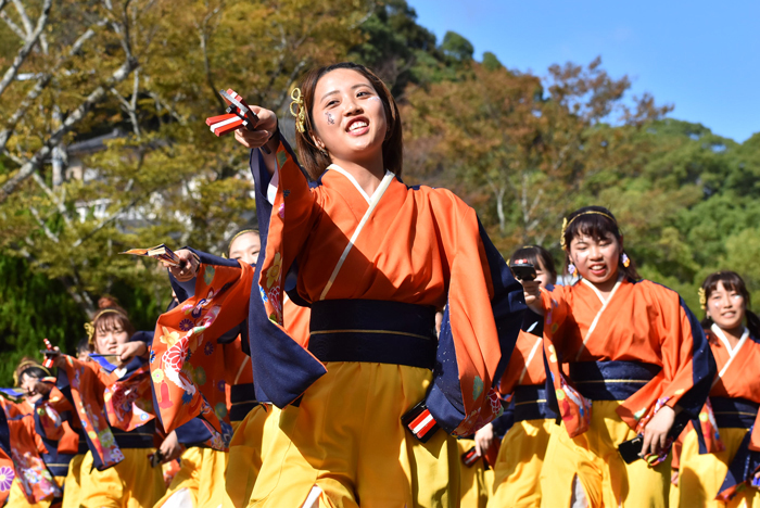 よさこい衣装・祭り衣装　　山口県立大学 よさこい部 奄美連合萩組様 