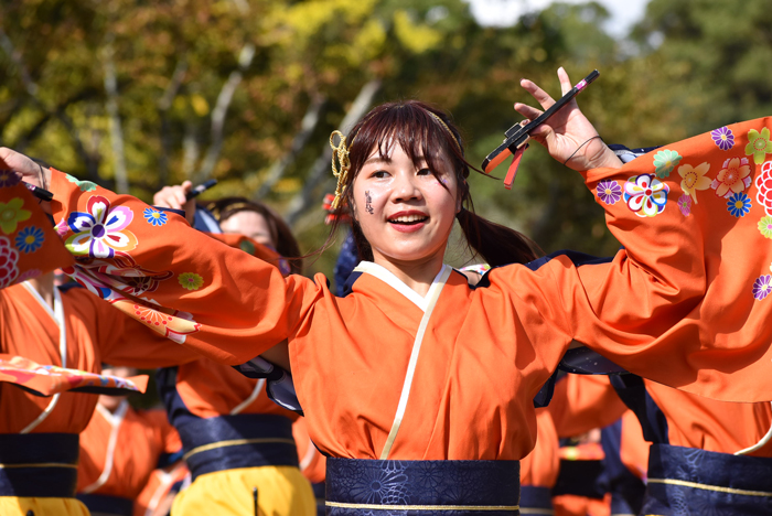 よさこい衣装・祭り衣装　　山口県立大学 よさこい部 奄美連合萩組様 