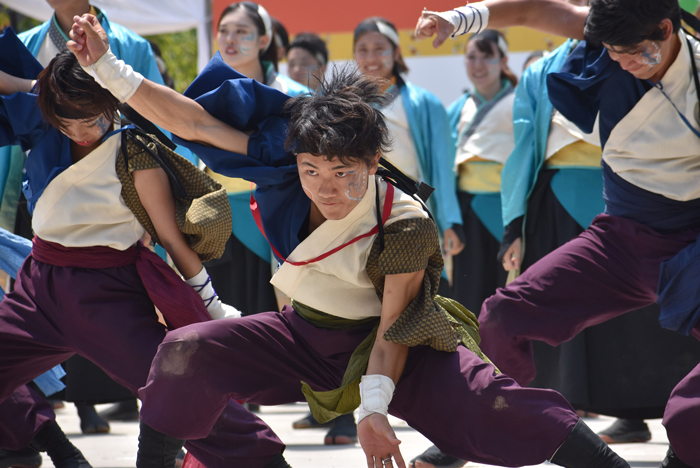 よさこい衣装・祭り衣装　　岡山うらじゃ連　旭様 