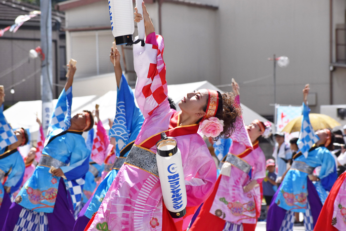 よさこい衣装・祭り衣装　　第一コンサルタンツ様 