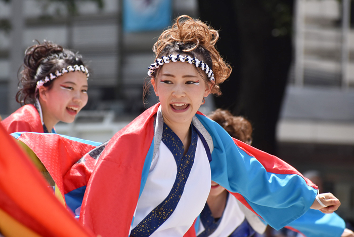 よさこい衣装・祭り衣装　　極津様 