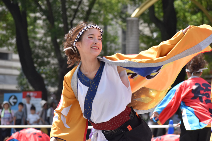 よさこい衣装・祭り衣装　　極津様 