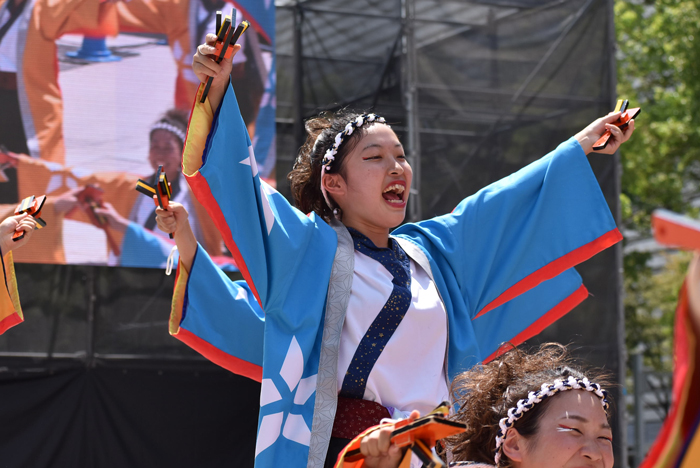 よさこい衣装・祭り衣装　　極津様 