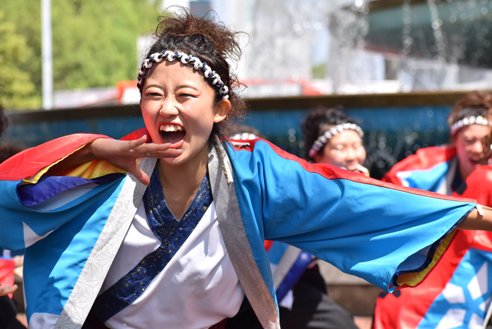 よさこい衣装・祭り衣装　　極津様 