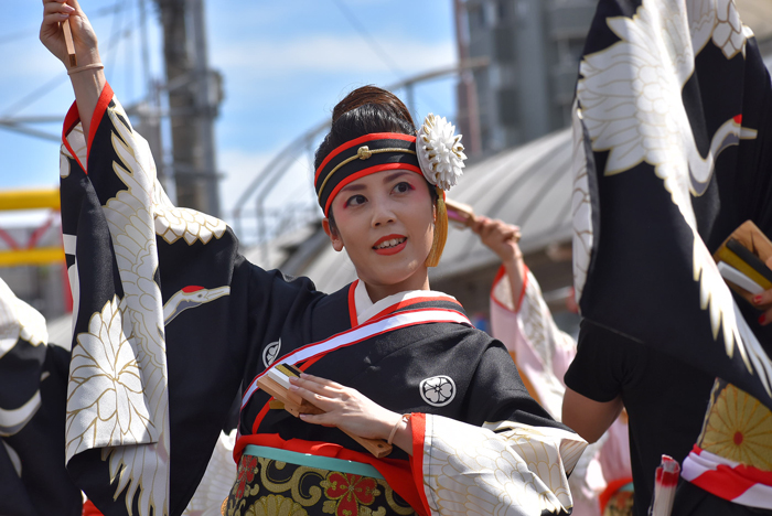 よさこい衣装・祭り衣装　　濱長花神楽様 