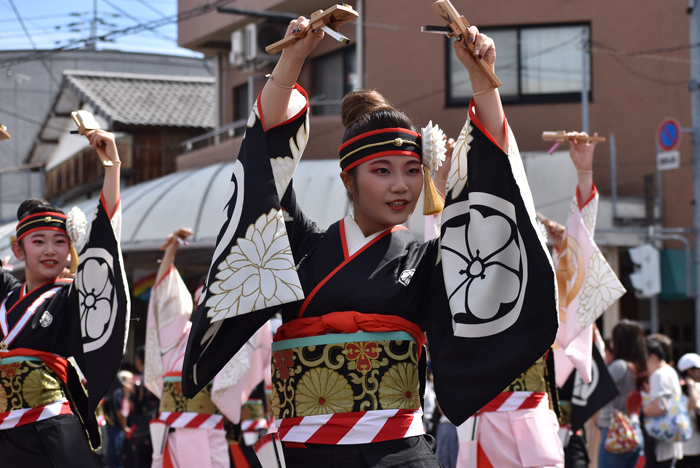 よさこい衣装・祭り衣装　　濱長花神楽様 