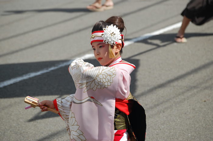 よさこい衣装・祭り衣装　　濱長花神楽様 