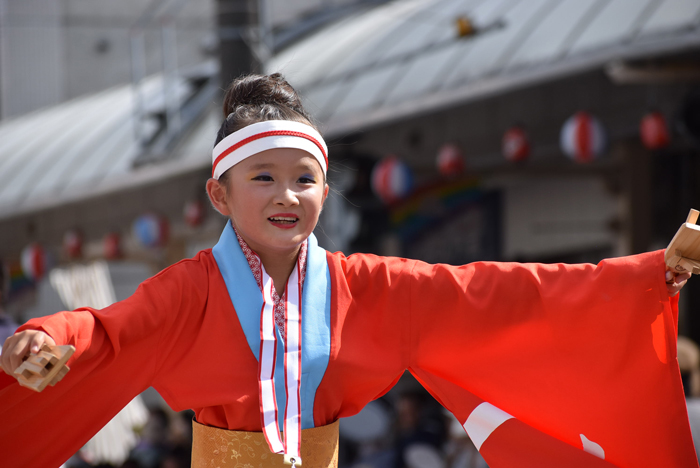 よさこい衣装・祭り衣装　　幡多舞人様 