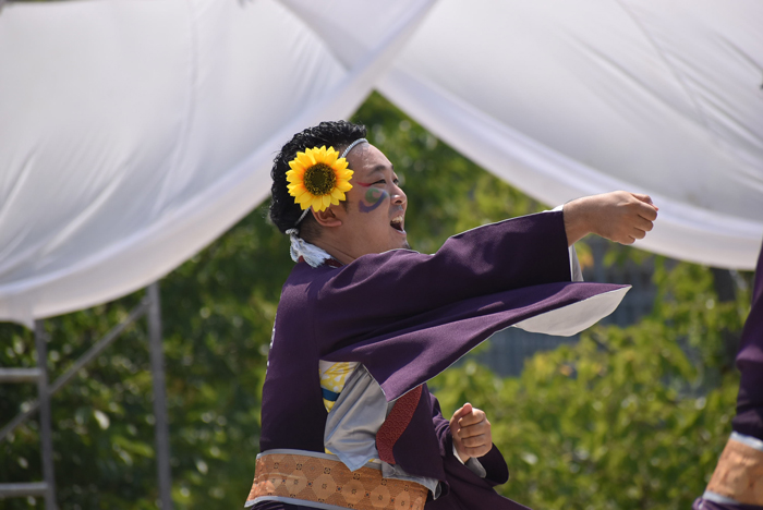 よさこい衣装・祭り衣装　　陽舞笑様 