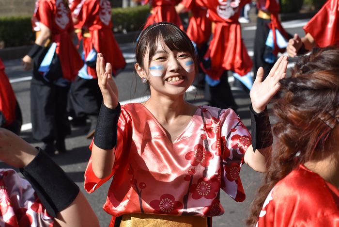 よさこい衣装・祭り衣装　　熊本県立大学一大事様 