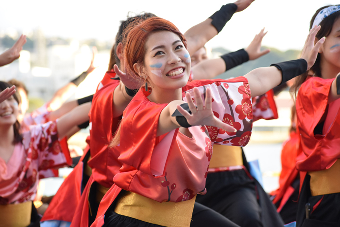 よさこい衣装・祭り衣装　　熊本県立大学一大事様 