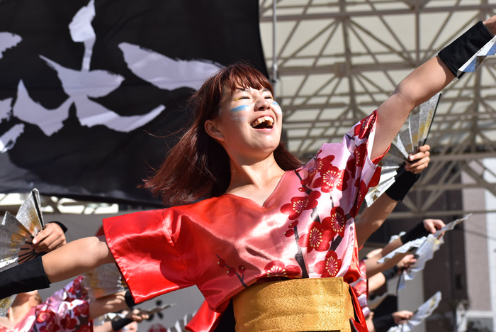 よさこい衣装・祭り衣装　　熊本県立大学一大事様 