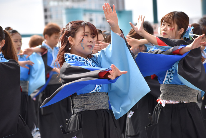 よさこい衣装・祭り衣装　　崇城大学～華咲流舞～様 