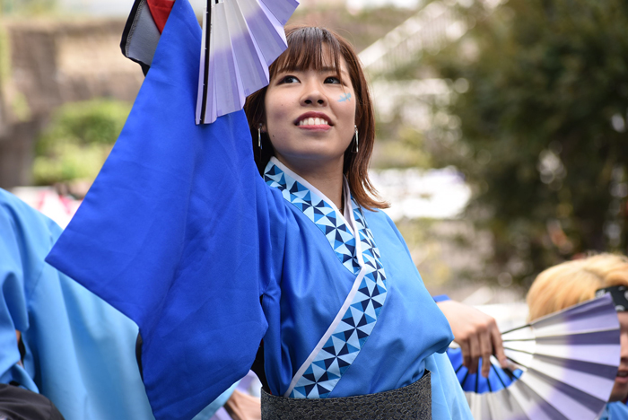 よさこい衣装・祭り衣装　　崇城大学～華咲流舞～様 