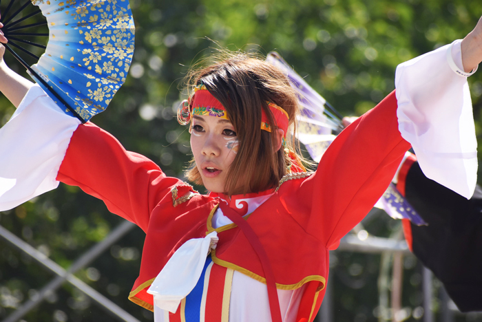 よさこい衣装・祭り衣装　　鬼凛様 