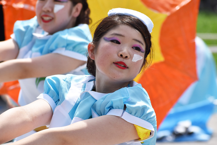 よさこい衣装・祭り衣装　　長野県看護大学よさこいサークル鼓魂様 