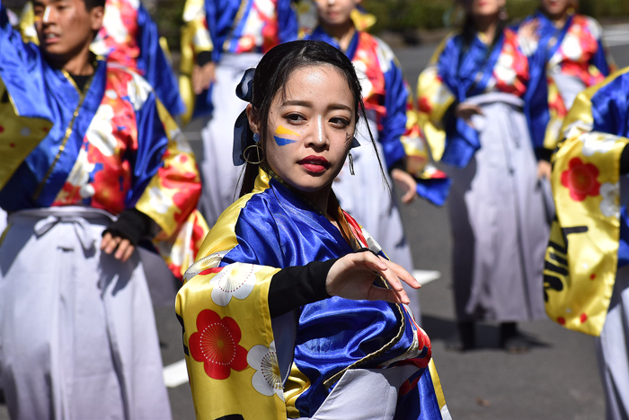 よさこい衣装・祭り衣装　　梅光学院大学よさこいダンス部LUCIS様 